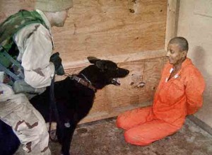 dog-torture-terrorism-abu-ghraib1b